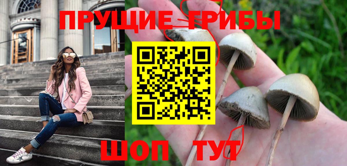 Галлюциногенные грибы GOLDEN TEACHER Горно-Алтайск