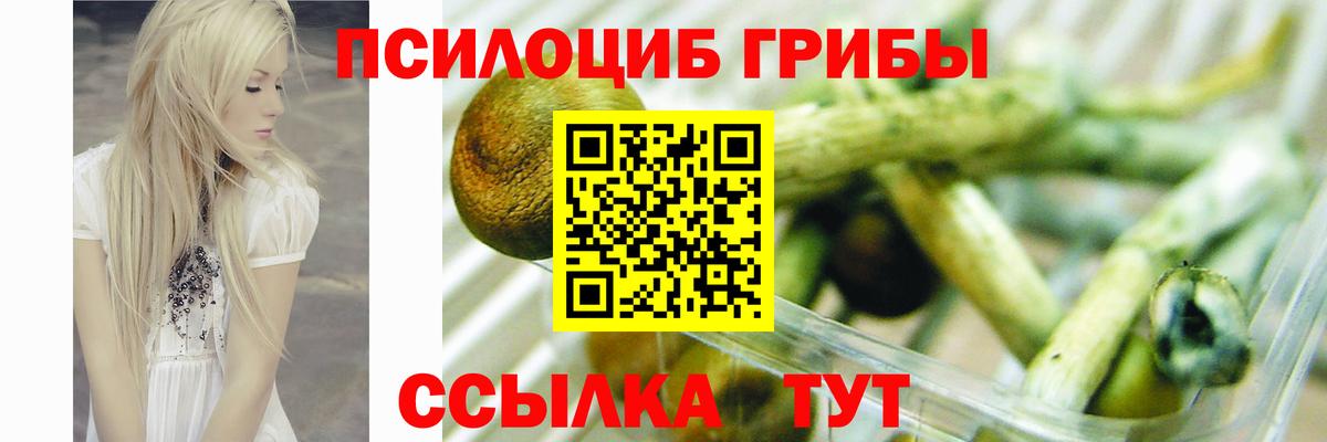 Горно-Алтайск  Галлюциногенные грибы Cubensis  Вход с VPN  Галлюциногенные грибы ЛСД 