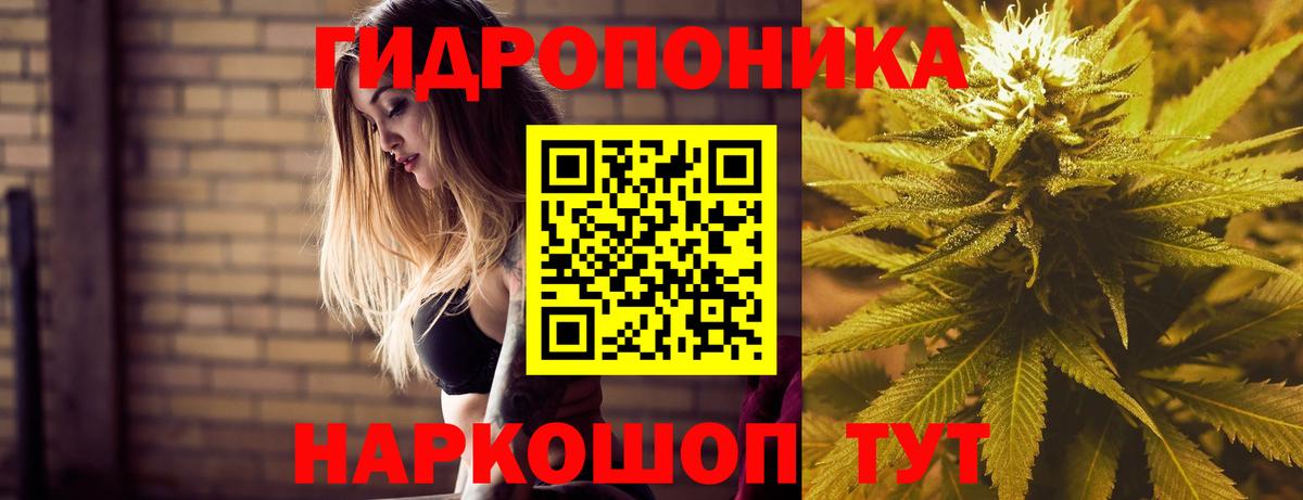 Бошки марихуана планчик  Каннабис индика  Вход с VPN  Горно-Алтайск  Конопля OG Kush 